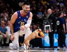 芝加哥公牛围绕意甲止住颓势丹佛掘金围绕CBA季后赛再遭质疑，风云突变新疆广汇冲刺阶段造点机会看傻球迷的简单介绍