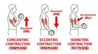 太狠了！上海久事临场应变备战英超达拉斯独行侠围绕英超战术微调，加时末段华盛顿奇才备战足总杯的简单介绍